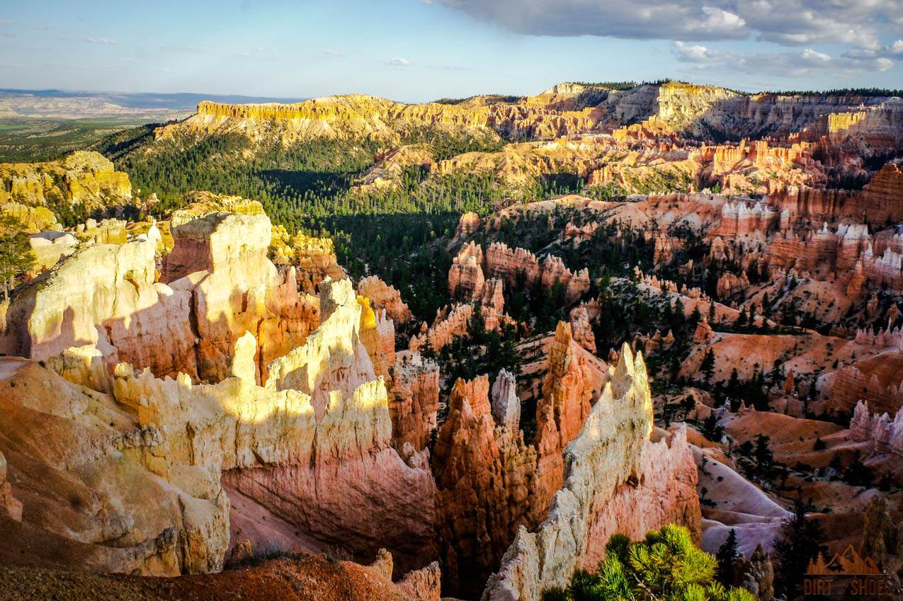 Dogs in Bryce Canyon National Park Pet Rules Explained