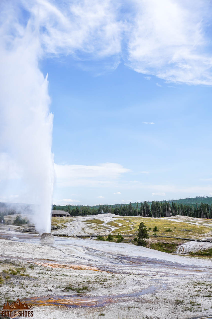 Beehive Geyser || Yellowstone National Park || Dirt In My Shoes