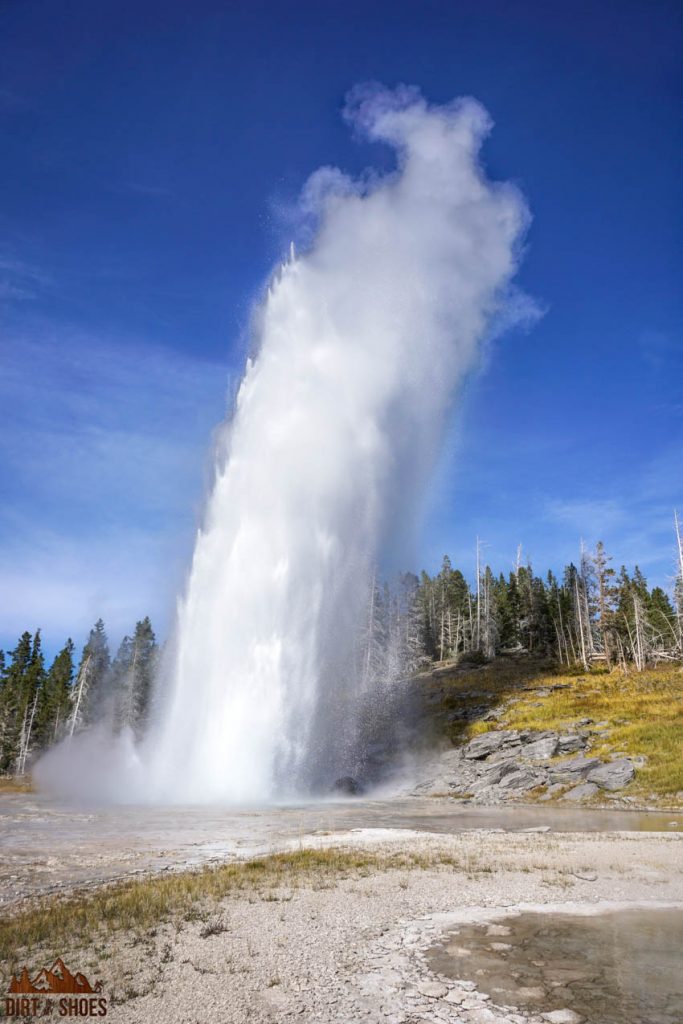 Where to Stay in Yellowstone (Inside the Park) 2023 - Yellowstone Trips