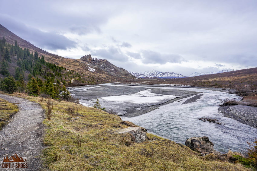 Savage River Loop || Denali National Park || Dirt In My Shoes