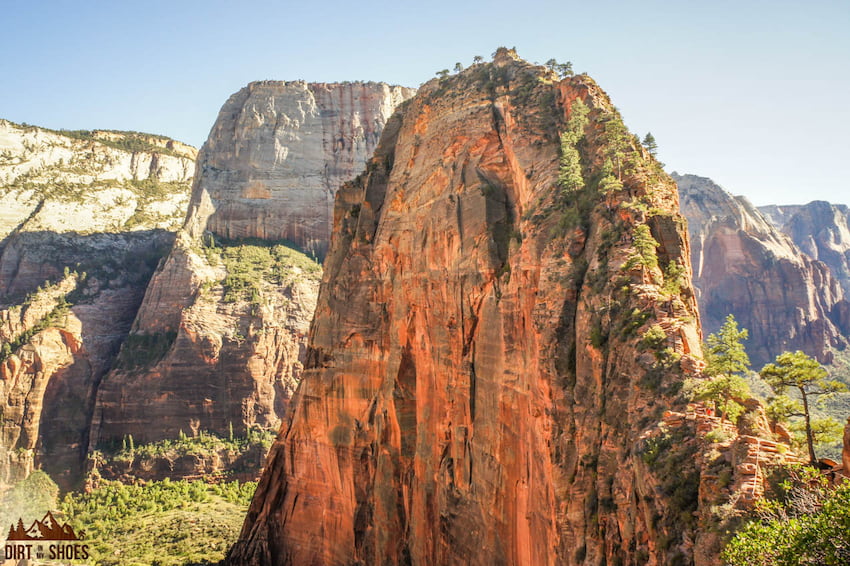Can dogs hike Angels Landing?