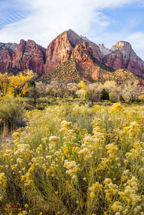 The Ultimate Zion Trip Planning Guide