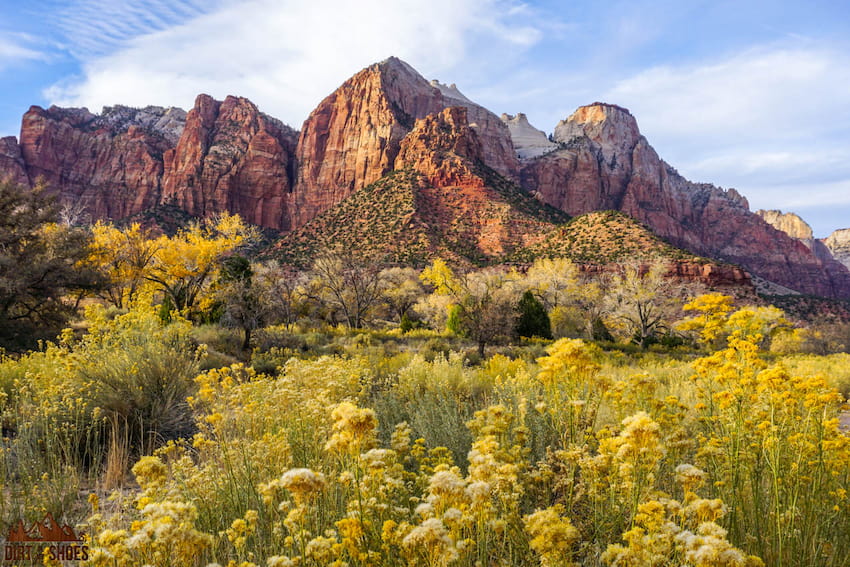 Can dogs hike Angels Landing?
