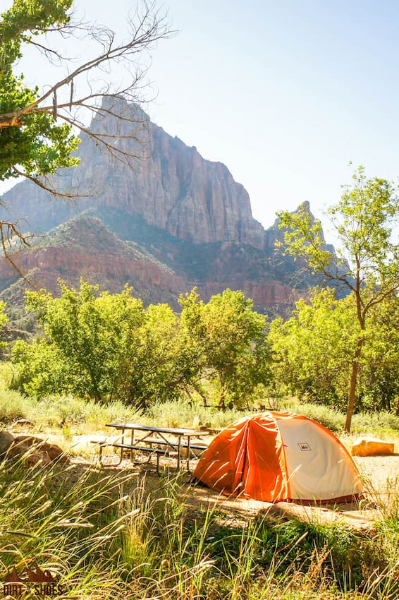 Is Zion National Park DogFriendly? Dirt In My Shoes
