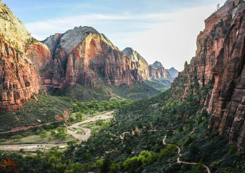 are dogs allowed in angels park zion national park