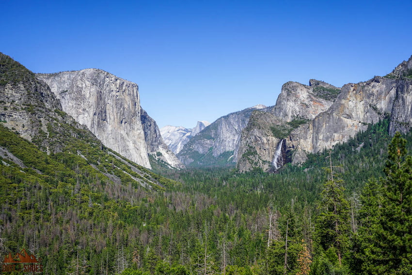 Is Yosemite National Park DogFriendly? Dirt In My Shoes