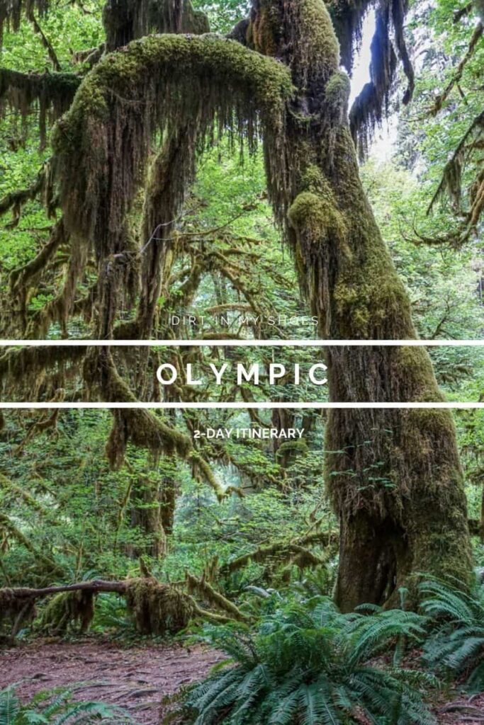 Olympic 2-Day Itinerary || Dirt In My Shoes