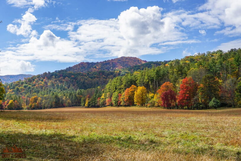 Is Great Smoky Mountains National Park Open YearRound? Weather, Hours