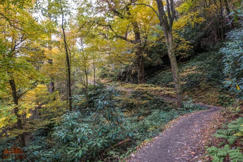 Best time to hike smoky mountains top