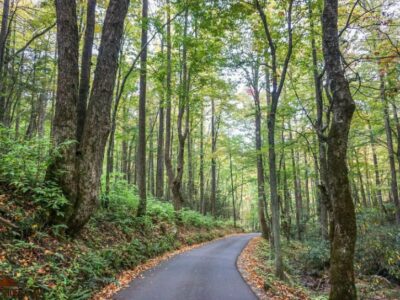 Great Smoky Mountains Best Airports and Roads || Dirt In My Shoes
