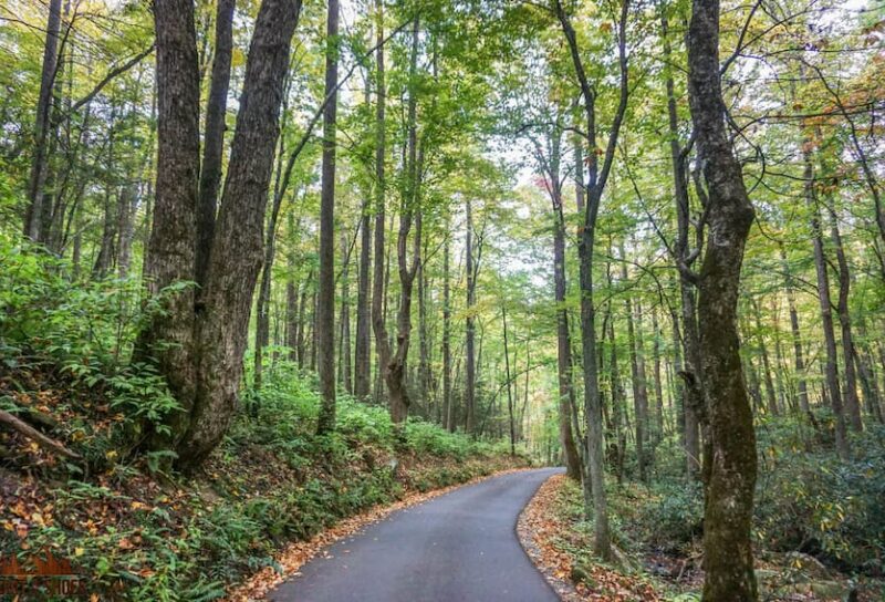 The Best and Closest Airports to Great Smoky Mountains National Park