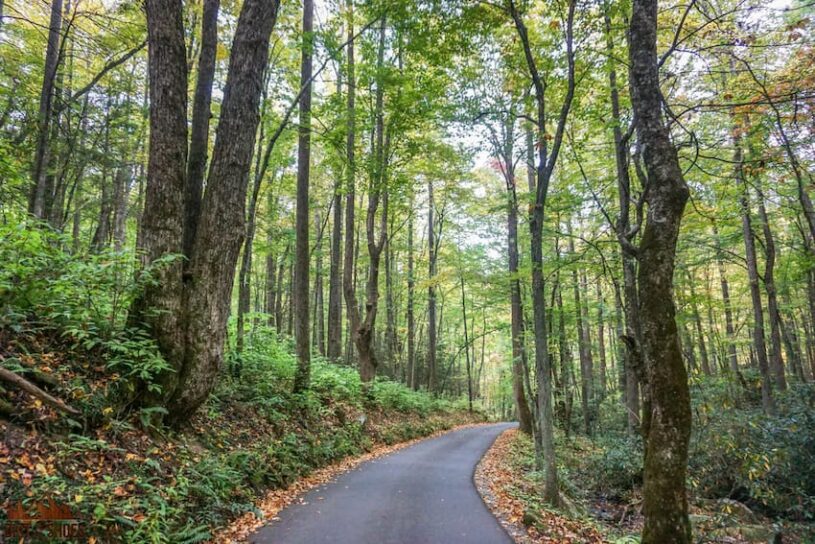The Best and Closest Airports to Great Smoky Mountains National Park