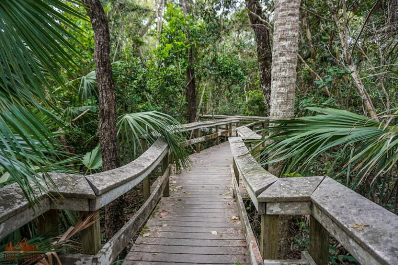 Best Times to Visit Everglades National Park in 2025