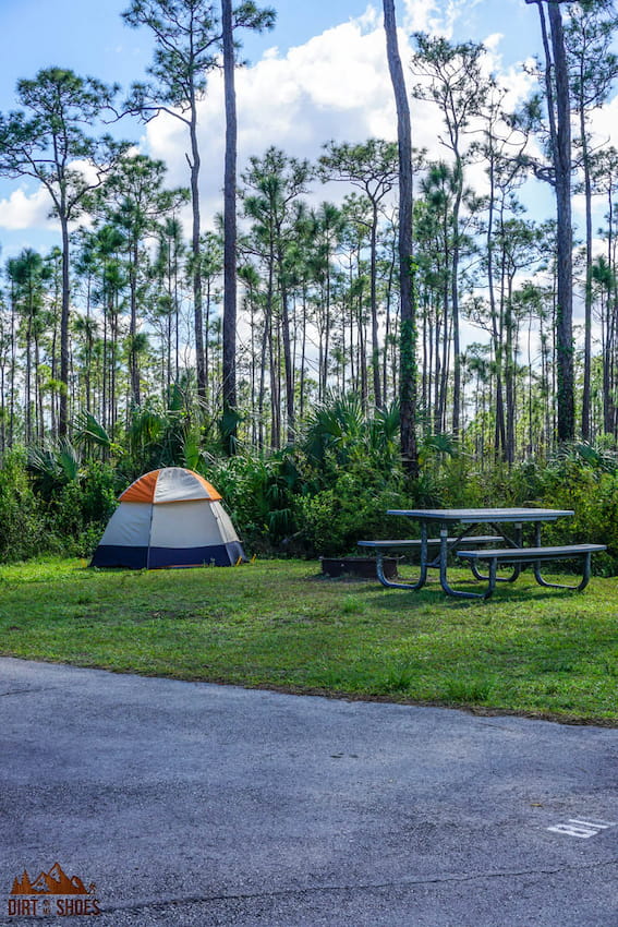 Where Should I Stay While Visiting the Everglades?