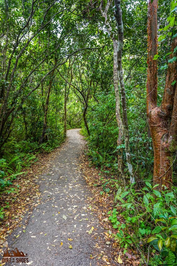 The Best and Closest Airports to Everglades National Park