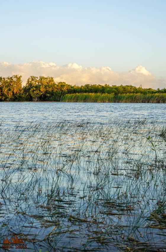 How Many Days Should I Spend in Everglades National Park?