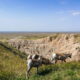 How Many Days Should I Spend in Badlands National Park? | Dirt In My Shoes