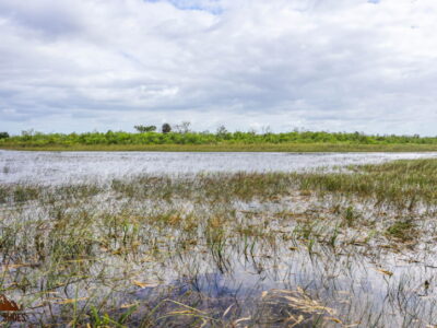 Everglades Safari Airboat Tour || Everglades Stories || Exploring the National Parks Podcast