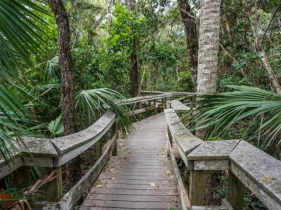 Mahogany Hammock Trail || Everglades Favorites || Exploring the National Parks Podcast