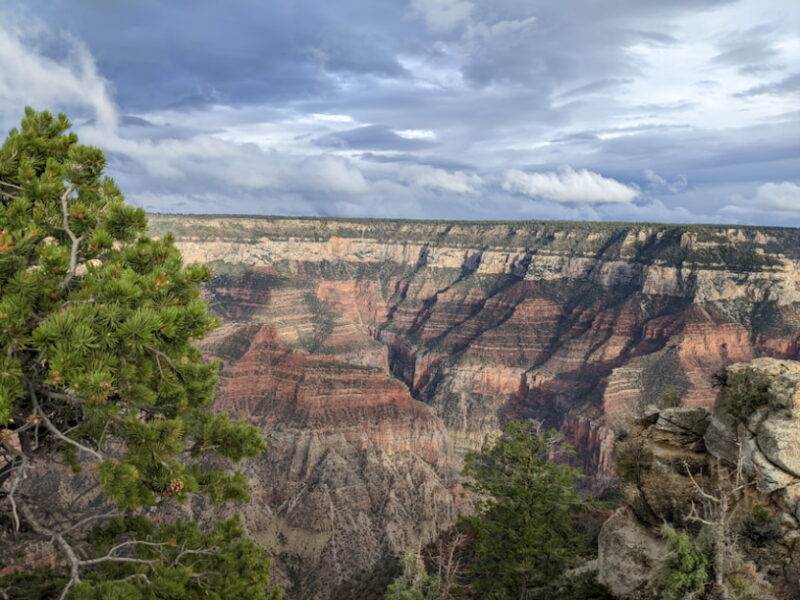 Mistakes To Avoid and Pro Tips