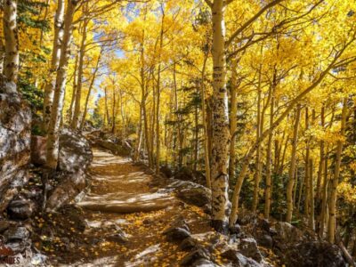 Rocky Mountain Fern Lake Fall Colors || Favorite Fall National Parks || Exploring the National Parks Podcast