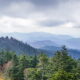 Great Smoky Mountains Clingmans Dome || Great Smoky Mountains Fun Facts || Exploring the National Parks Podcast