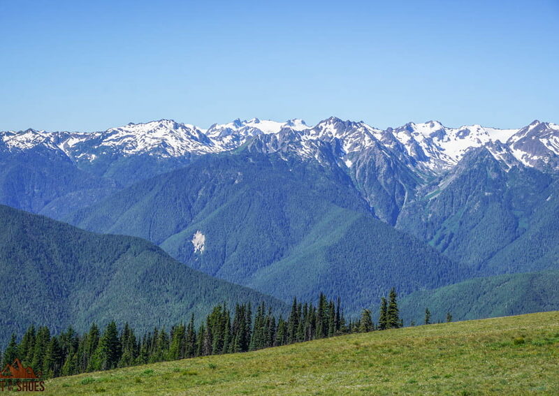 The Best Time to Visit Olympic National Park Dirt In My Shoes