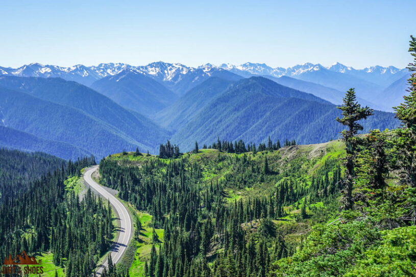 Hurricane Ridge Road in Olympic National Park