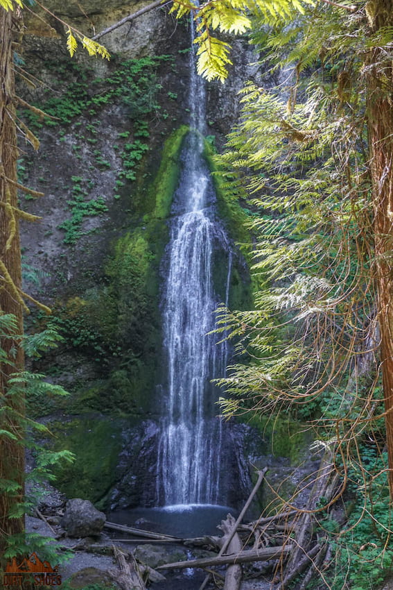 Marymere Falls in Olympic National Park
