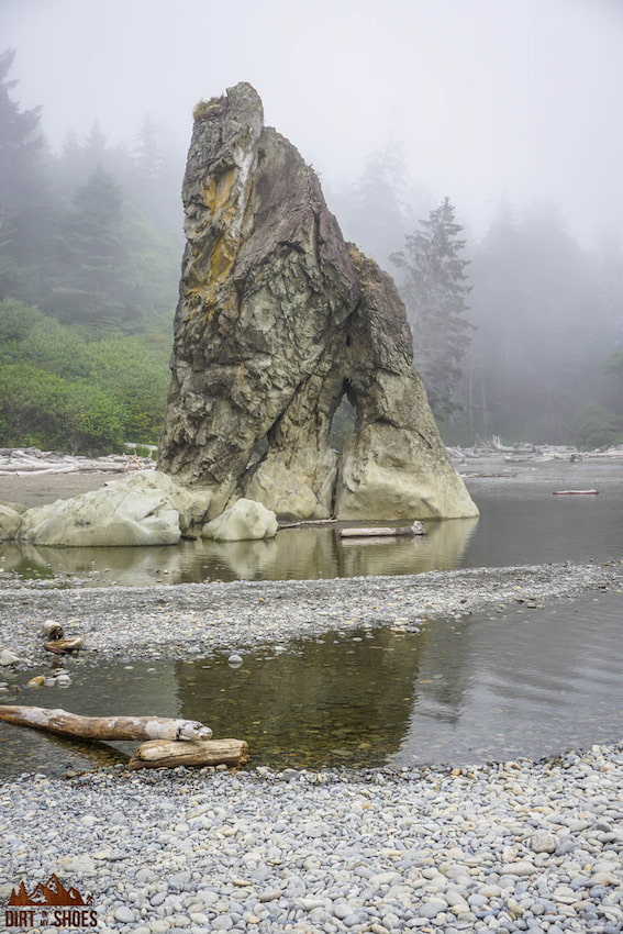 The Best Things to Do in Olympic National Park Dirt In My Shoes