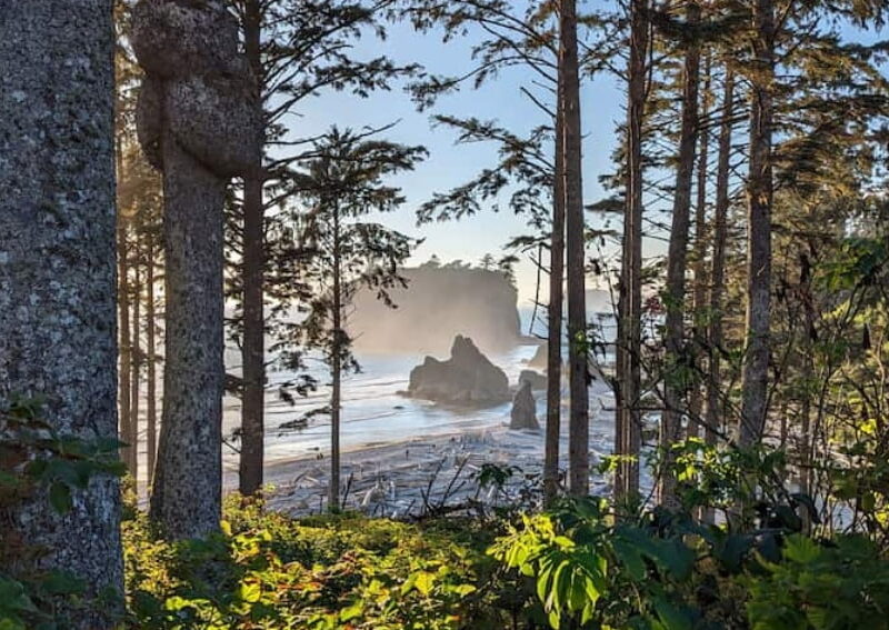 How many days olympic national park