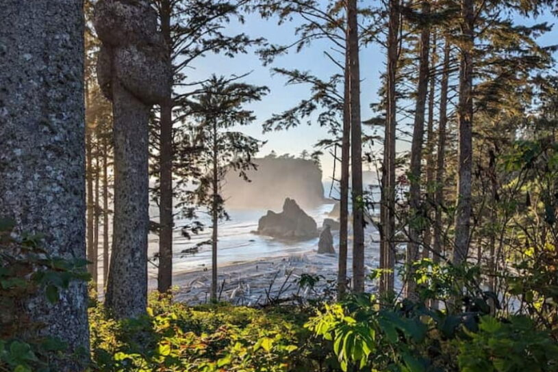 Ruby Beach in Olympic National Park