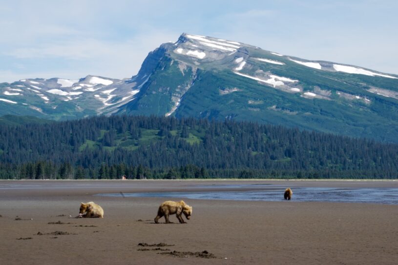 Alaska's National Parks - How to See All Eight!