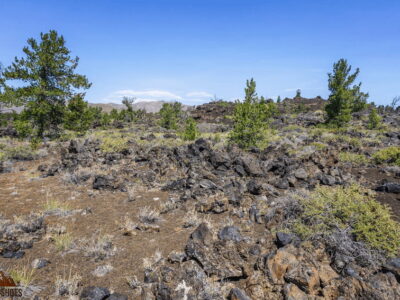 Devil's Orchard in Craters of the Moon National Monument