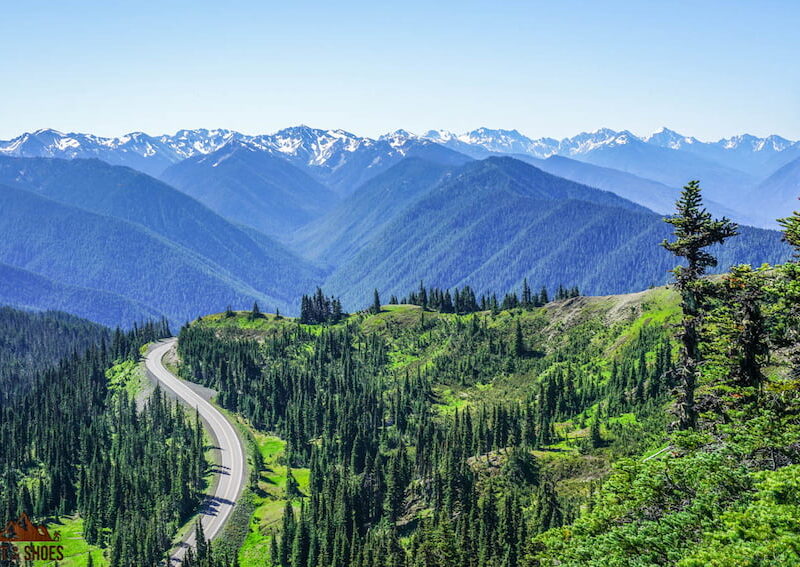 High ridge trail olympic national park store