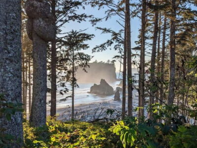 Ruby Beach at Golden Hour in Olympic National Park