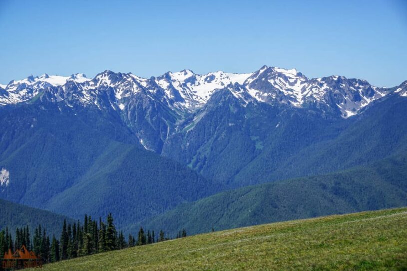10 FUN FACTS ABOUT OLYMPIC NATIONAL PARK visual data 8