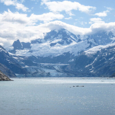 Johns Hopkins Glacier in Glacier Bay National Park