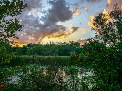 Beaver Marsh in Cuyahoga Valley National Park