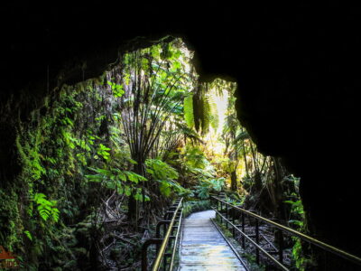 Thurston Lava Tube in Hawai'i Volcanoes National Park