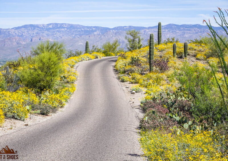 Embark on Your Journey with Ease: Navigating the Landscape of National Rental Locations