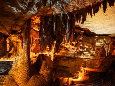 Grand Avenue Tour in Mammoth Cave National Park