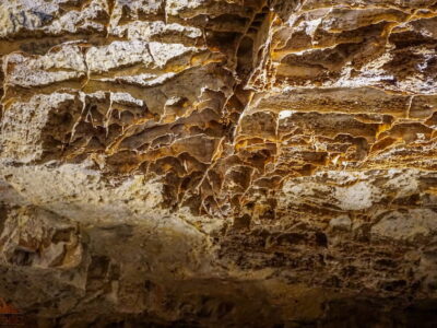 Wind Cave Natural Entrance Tour Boxwork in Wind Cave National Park