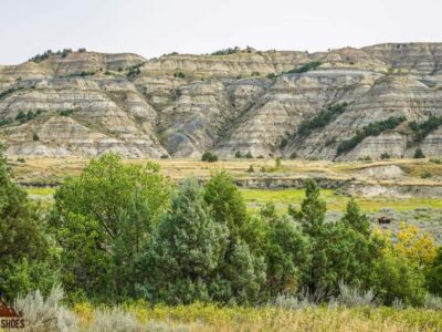 Theodore Roosevelt National Park
